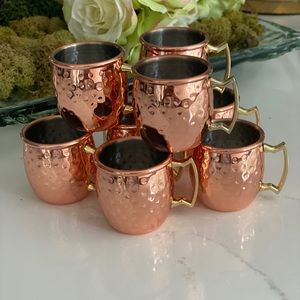 Mini Moscow Mule Mugs